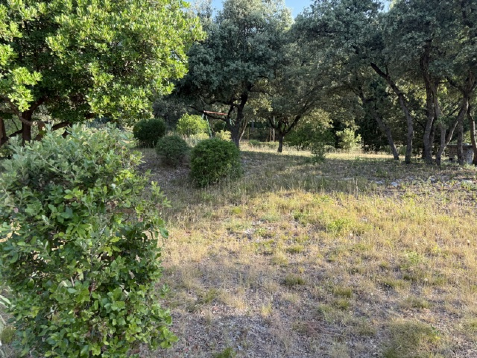 saint-bauzille-de-montmel (34160) terrain 765 m² · 190 000 €